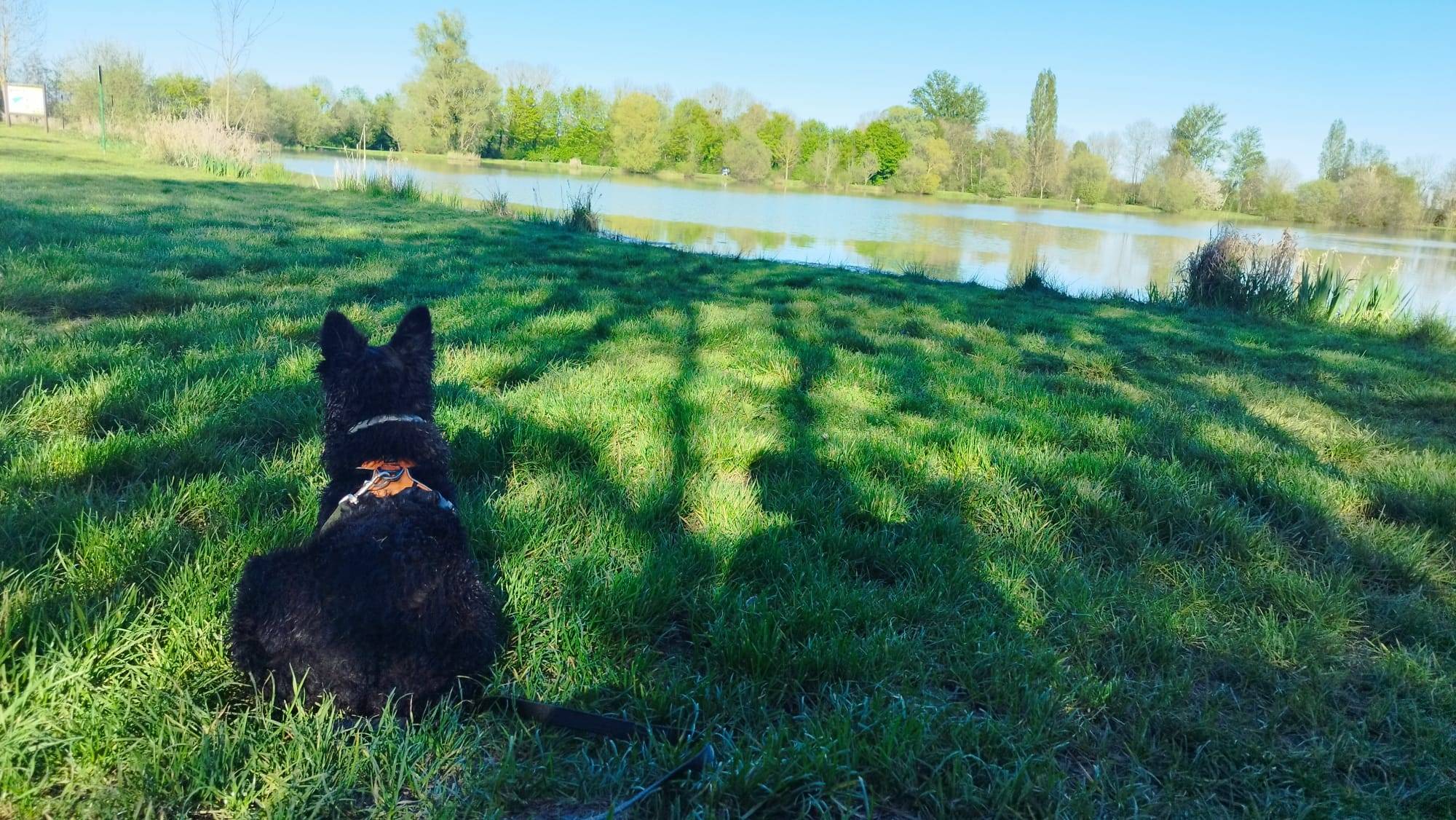 Illustration douce de campagne autour de Brou en Eure-et-Loir